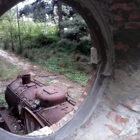 Dom wakacyjny Kalypso